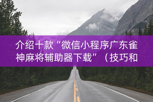 介绍十款“微信小程序广东雀神麻将辅助器下载”（技巧和打好牌方法)