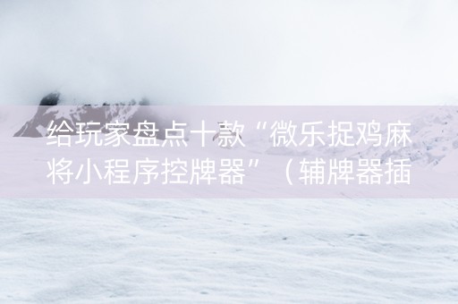 给玩家盘点十款“微乐捉鸡麻将小程序控牌器”（辅牌器插件购买)