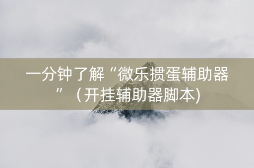 一分钟了解“微乐掼蛋辅助器”（开挂辅助器脚本)