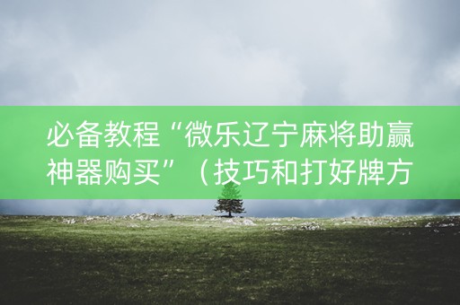 必备教程“微乐辽宁麻将助赢神器购买”（技巧和打好牌方法)