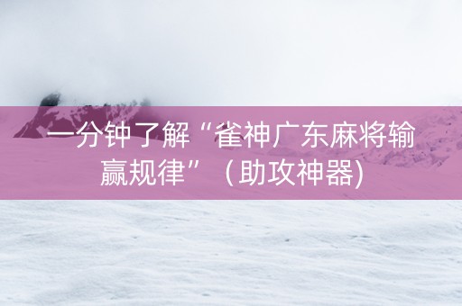 一分钟了解“雀神广东麻将输赢规律”（助攻神器)