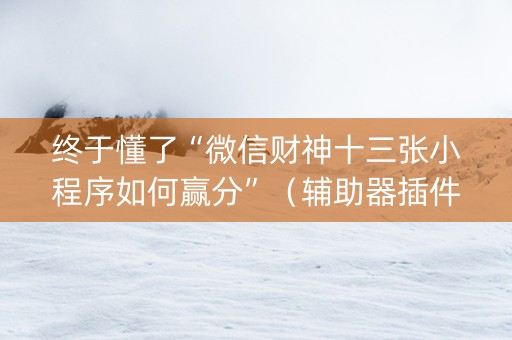 终于懂了“微信财神十三张小程序如何赢分”（辅助器插件)