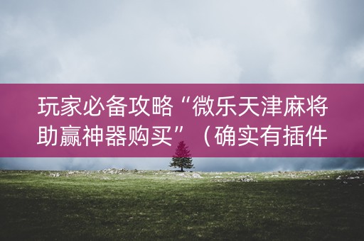 玩家必备攻略“微乐天津麻将助赢神器购买”（确实有插件吗)