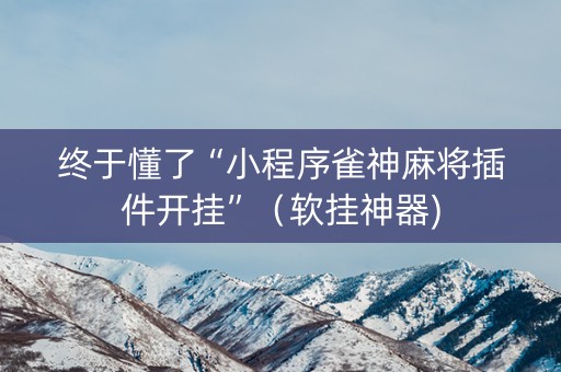 终于懂了“小程序雀神麻将插件开挂”（软挂神器)