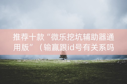 推荐十款“微乐挖坑辅助器通用版”（输赢跟id号有关系吗)