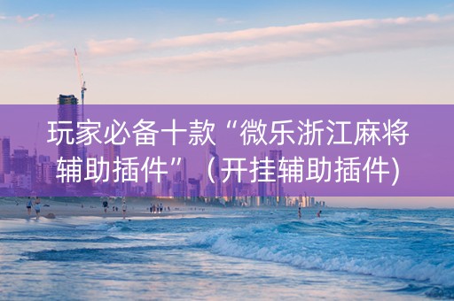 玩家必备十款“微乐浙江麻将辅助插件”（开挂辅助插件)