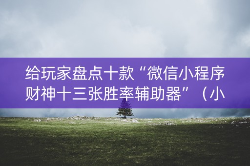 给玩家盘点十款“微信小程序财神十三张胜率辅助器”（小程序控牌器)