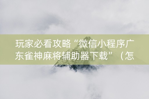 玩家必看攻略“微信小程序广东雀神麻将辅助器下载”（怎么设置能有好牌)