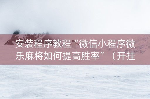 安装程序教程“微信小程序微乐麻将如何提高胜率”（开挂神器下载)