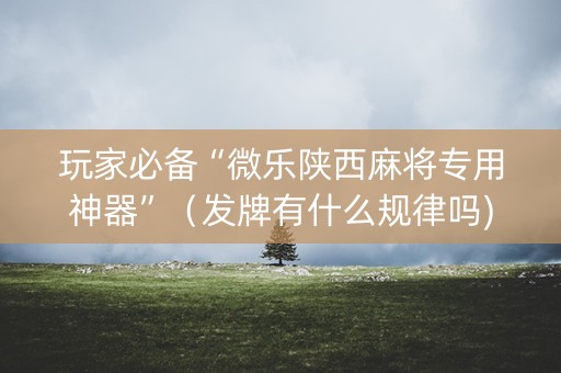 玩家必备“微乐陕西麻将专用神器”（发牌有什么规律吗)