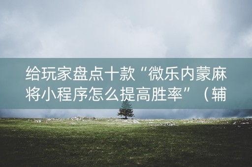 给玩家盘点十款“微乐内蒙麻将小程序怎么提高胜率”（辅助器通用版)