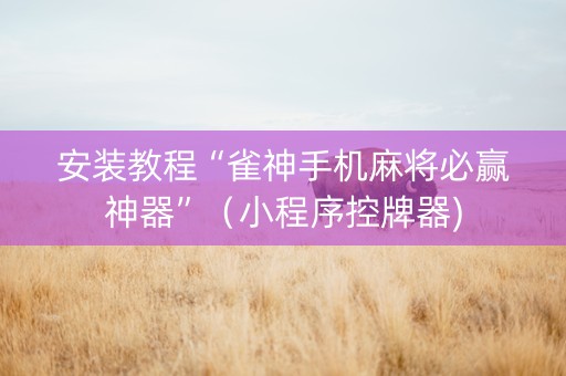 安装教程“雀神手机麻将必赢神器”（小程序控牌器)