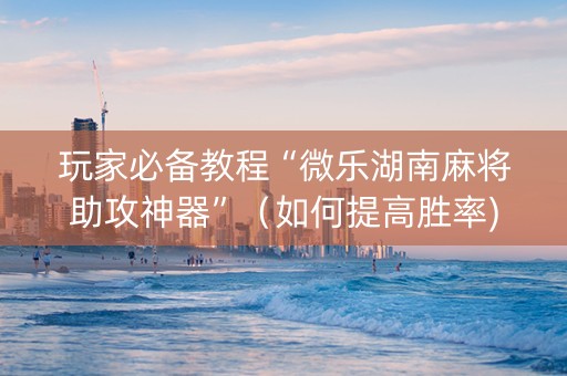 玩家必备教程“微乐湖南麻将助攻神器”（如何提高胜率)