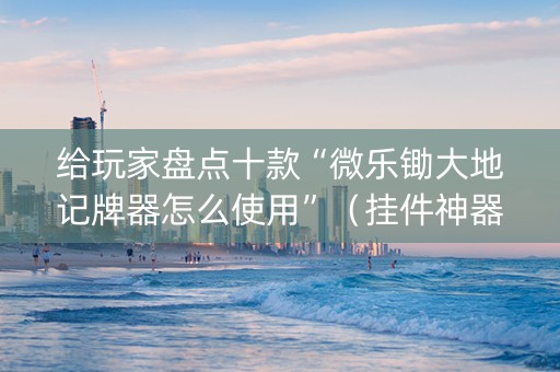 给玩家盘点十款“微乐锄大地记牌器怎么使用”（挂件神器)