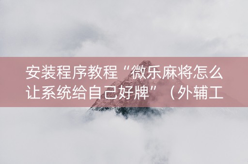 安装程序教程“微乐麻将怎么让系统给自己好牌”（外辅工具)