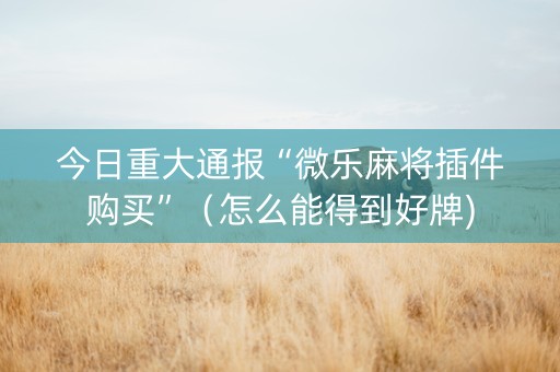 今日重大通报“微乐麻将插件购买”（怎么能得到好牌)