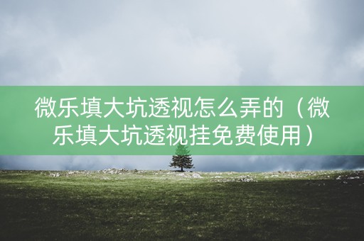 微乐填大坑透视怎么弄的（微乐填大坑透视挂免费使用）