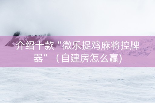 介绍十款“微乐捉鸡麻将控牌器”（自建房怎么赢)