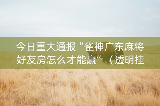 今日重大通报“雀神广东麻将好友房怎么才能赢”（透明挂辅助器)