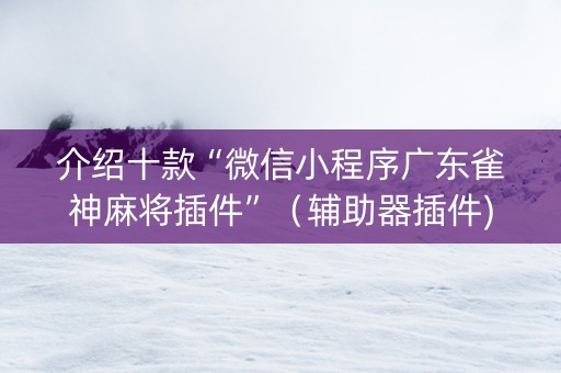 介绍十款“微信小程序广东雀神麻将插件”（辅助器插件)