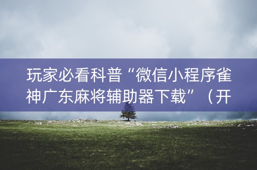玩家必看科普“微信小程序雀神广东麻将辅助器下载”（开挂辅助插件)