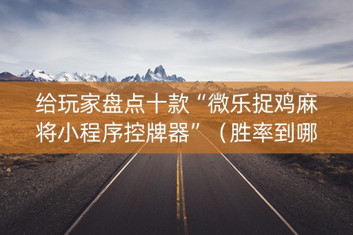 给玩家盘点十款“微乐捉鸡麻将小程序控牌器”（胜率到哪调)