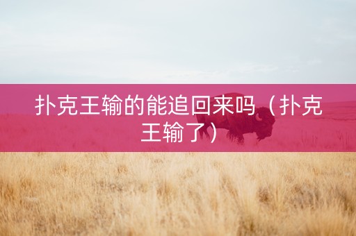 扑克王输的能追回来吗（扑克王输了）
