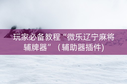 玩家必备教程“微乐辽宁麻将辅牌器”（辅助器插件)