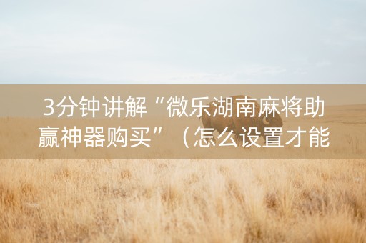 3分钟讲解“微乐湖南麻将助赢神器购买”（怎么设置才能赢)