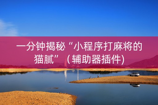 一分钟揭秘“小程序打麻将的猫腻”（辅助器插件)