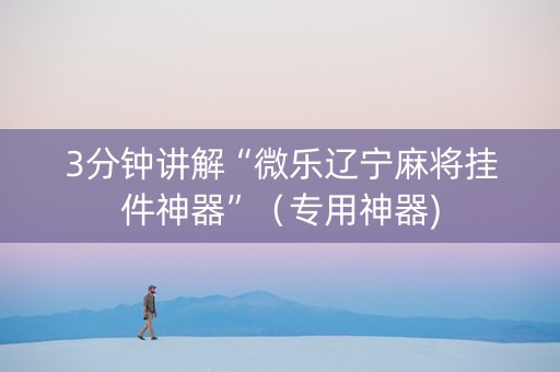 3分钟讲解“微乐辽宁麻将挂件神器”（专用神器)