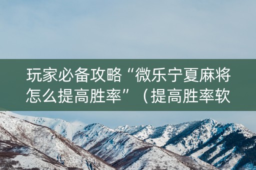 玩家必备攻略“微乐宁夏麻将怎么提高胜率”（提高胜率软件)