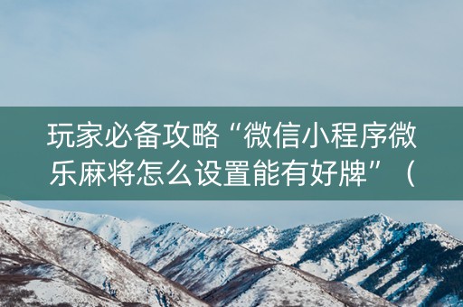 玩家必备攻略“微信小程序微乐麻将怎么设置能有好牌”（小程序必赢神器)