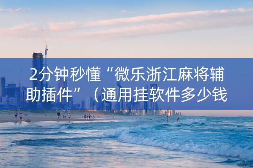 2分钟秒懂“微乐浙江麻将辅助插件”（通用挂软件多少钱)