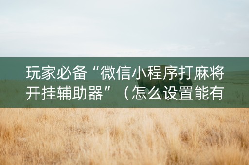 玩家必备“微信小程序打麻将开挂辅助器”（怎么设置能有好牌)