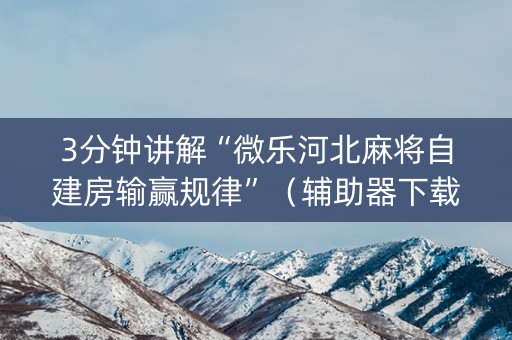 3分钟讲解“微乐河北麻将自建房输赢规律”（辅助器下载)