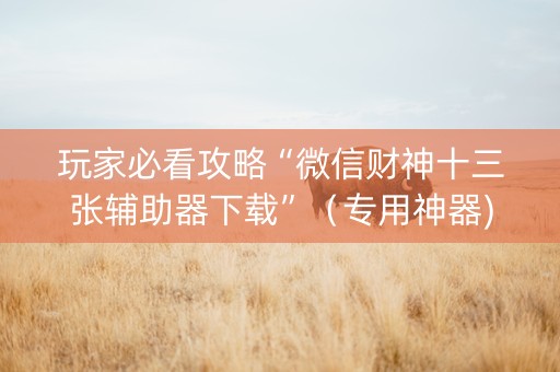 玩家必看攻略“微信财神十三张辅助器下载”（专用神器)
