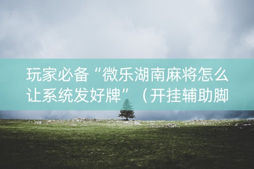 玩家必备“微乐湖南麻将怎么让系统发好牌”（开挂辅助脚本)