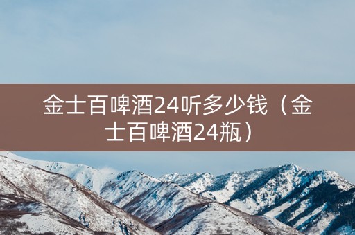 金士百啤酒24听多少钱（金士百啤酒24瓶）