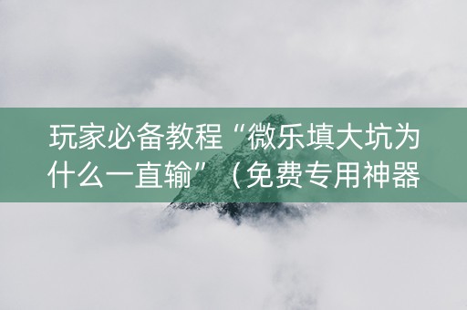 玩家必备教程“微乐填大坑为什么一直输”（免费专用神器)