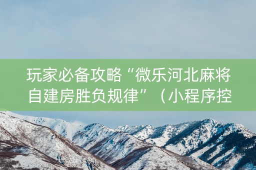 玩家必备攻略“微乐河北麻将自建房胜负规律”（小程序控牌器)