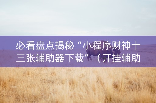必看盘点揭秘“小程序财神十三张辅助器下载”（开挂辅助脚本)