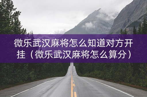 微乐武汉麻将怎么知道对方开挂（微乐武汉麻将怎么算分）