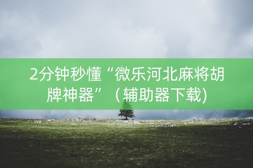 2分钟秒懂“微乐河北麻将胡牌神器”（辅助器下载)