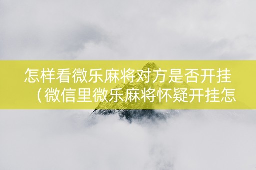 怎样看微乐麻将对方是否开挂（微信里微乐麻将怀疑开挂怎么查）
