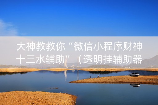 大神教教你“微信小程序财神十三水辅助”（透明挂辅助器)