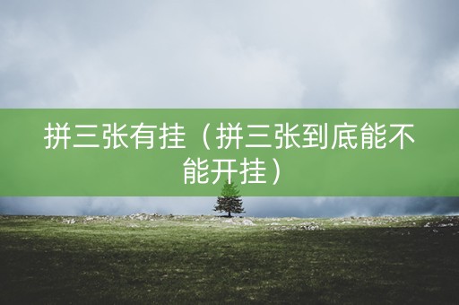 拼三张有挂（拼三张到底能不能开挂）