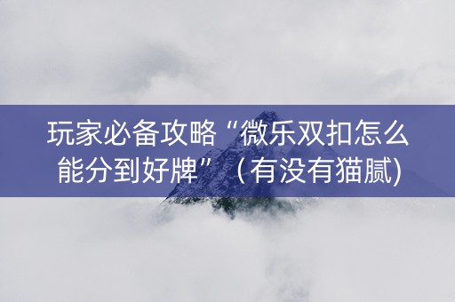 玩家必备攻略“微乐双扣怎么能分到好牌”（有没有猫腻)