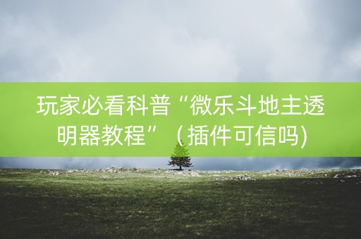 玩家必看科普“微乐斗地主透明器教程”（插件可信吗)
