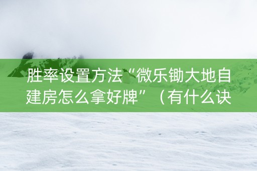 胜率设置方法“微乐锄大地自建房怎么拿好牌”（有什么诀窍)